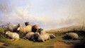 Moutons dans un paysage étendu Animaux de ferme Thomas Sidney Cooper